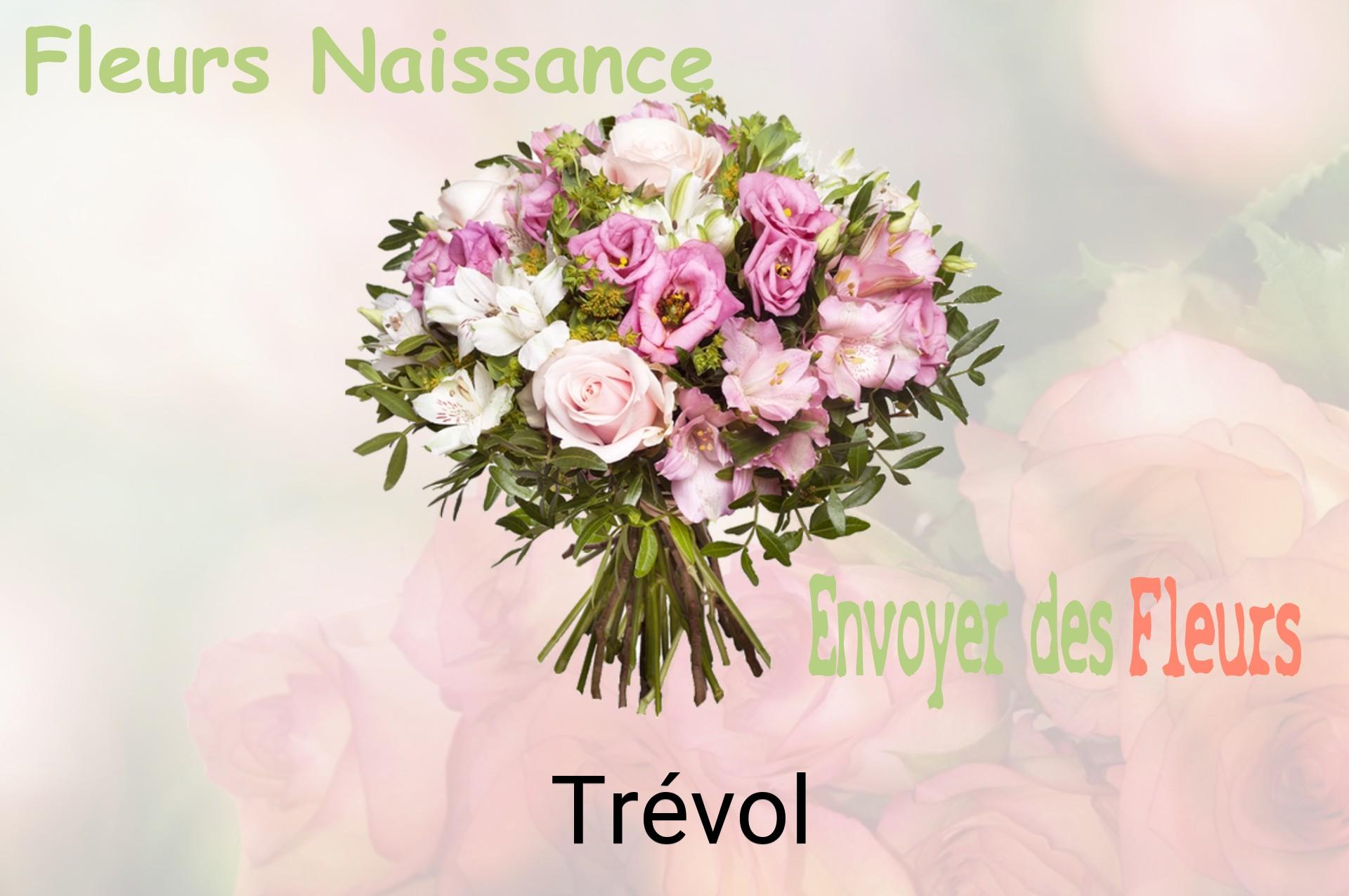 Bouquet de fleurs de naissance livré à Trévol