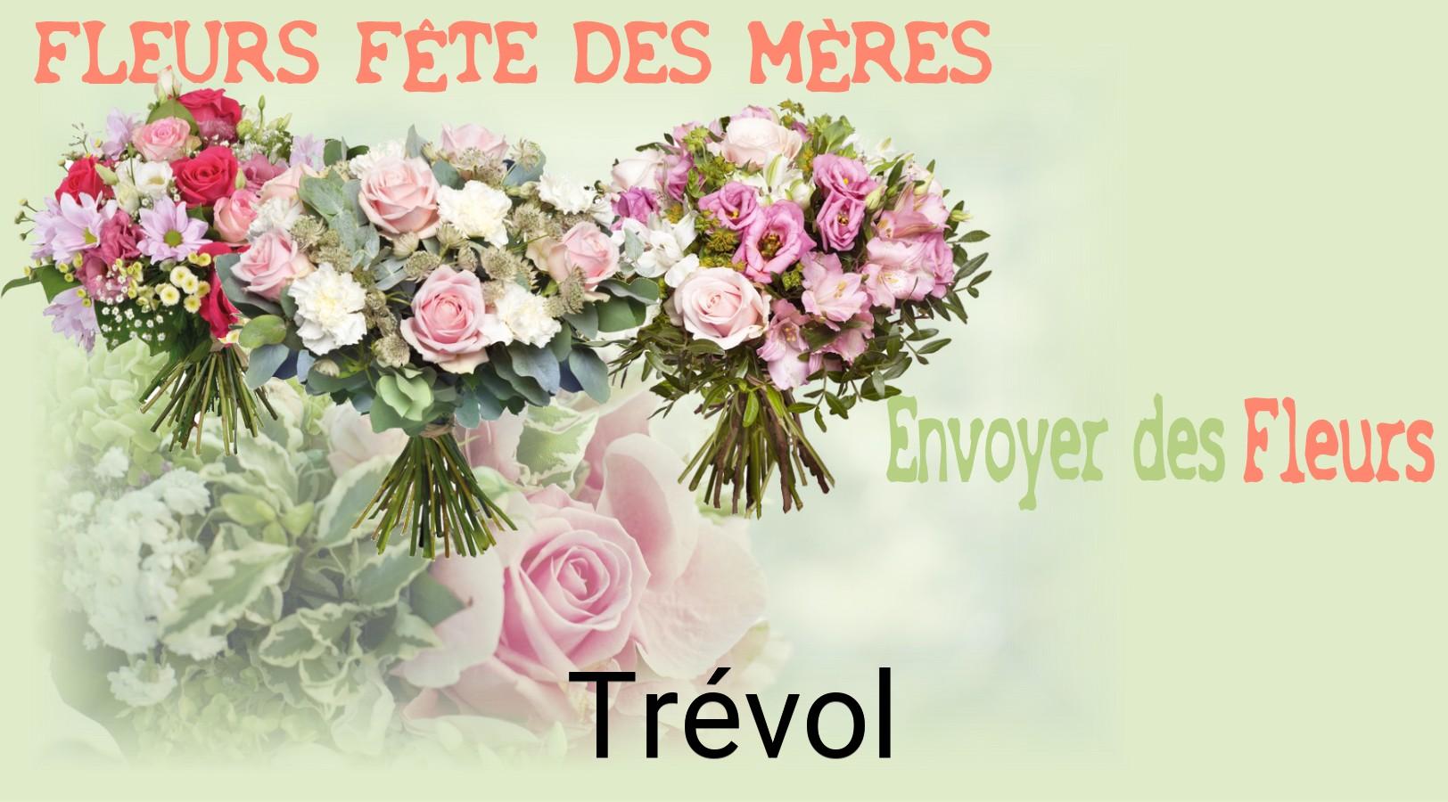 Bouquet de Fête des Mères livré à Trévol